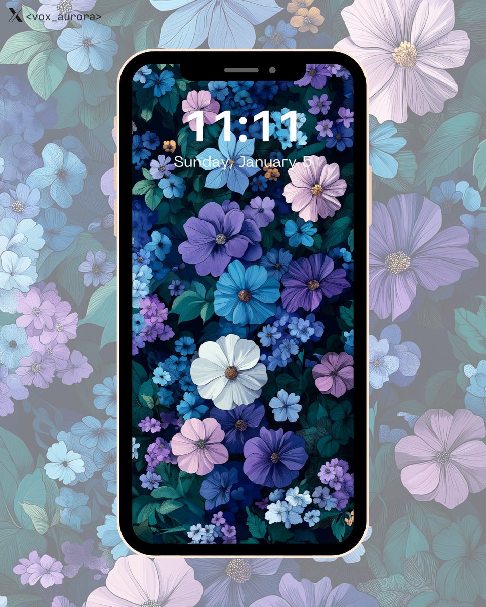 Aurora Vox tweet media