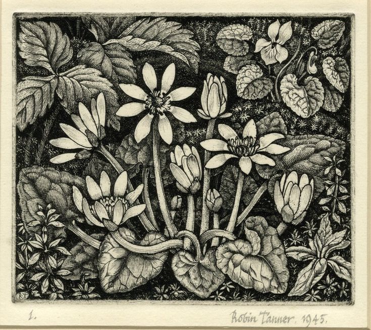 British Gardening History tweet media