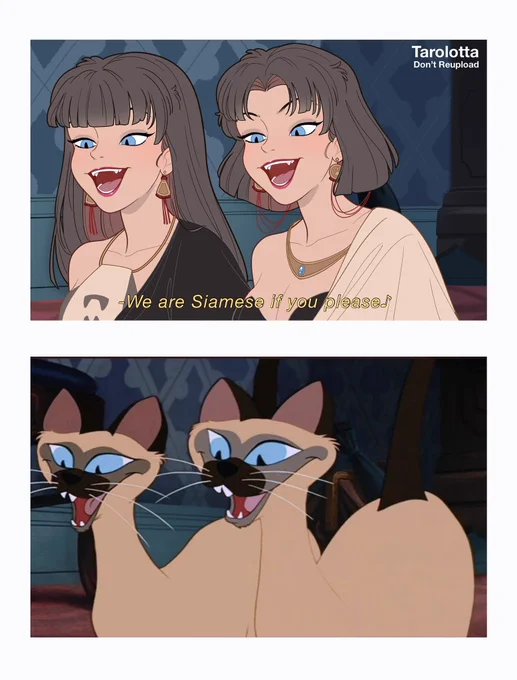 わんわん物語🐕🐈‍⬛

⚠︎擬人化 