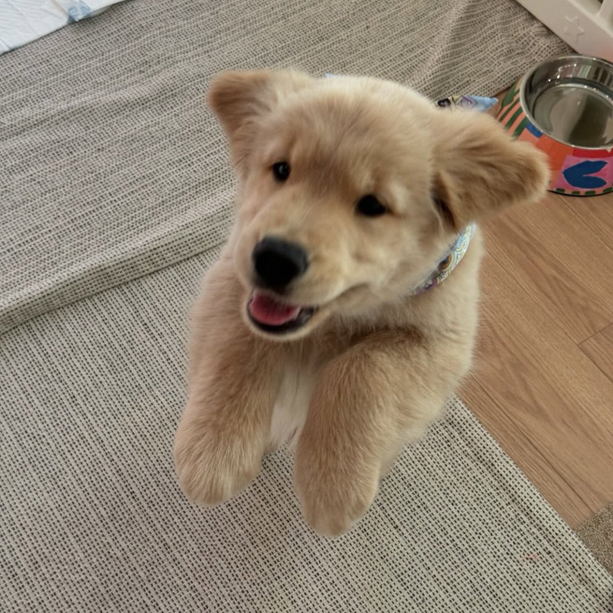 เบบี๋๋๋๋๋๋๋๋ จ๊ะเอ๋๋๋๋ รับไปซ้า ความร้าก 💘💘💘