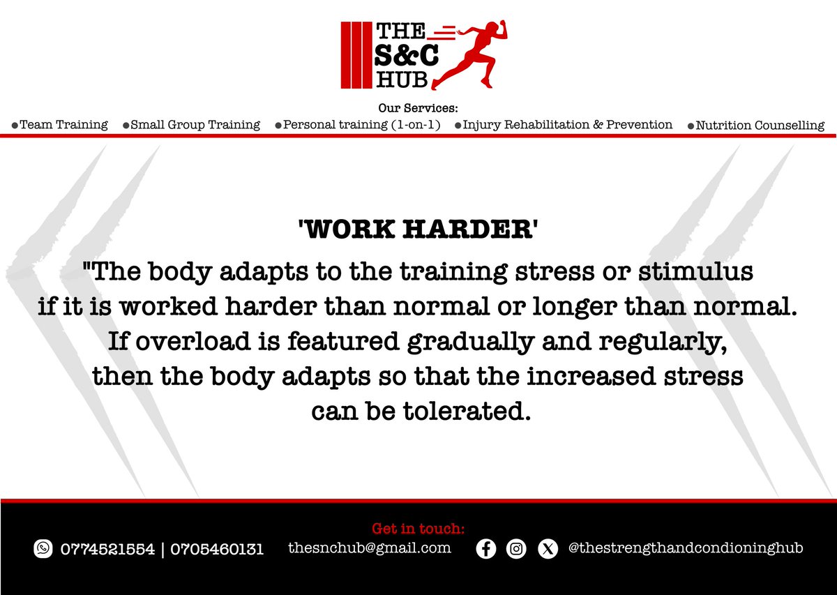 theSnChub's tweet image. Always work harder
#strength #conditioning #snchub #sport #fitness