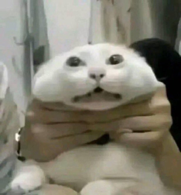 Vai ser tão esquisito se isso acontecer e eu ver uma pessoa da minha idade na presidência