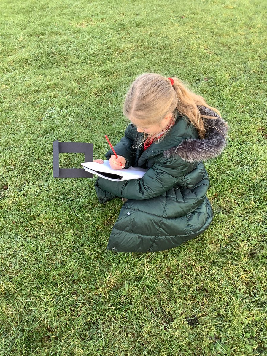 Pine Class St. David’s Haigh tweet media