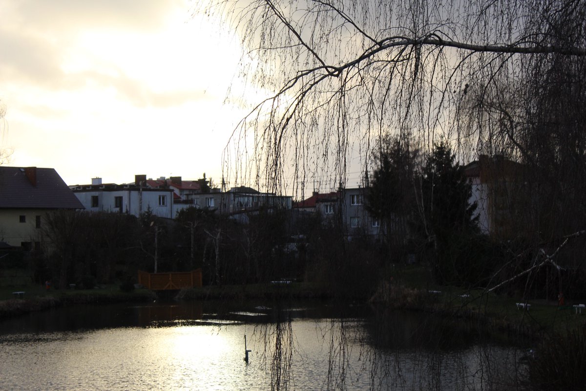 ukaszKrogulec's tweet photo. Tczew - Osiedle Witosa "Witosa housing estate" #tczew #pomorze #pomorskie #polska #poland #kociewie #poland🇵🇱 #fotografia #photography #niebo #sky #chmury #clouds #cloudslovers #cloudscape #drzewa #trees #staw #pond #nature #natura #lovenature #beautiful #photoamateur https://t.co/Dkf6sDGlao