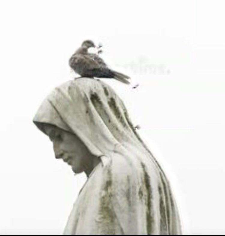 saminterroge's tweet photo. C’était le jour de l’Assomption
Des oiseaux mus de déraison
Voulaient atteindre le haut ciel
Comme la Dame, l’éternelle

Mais ailes Lourdes, hélas halètent
Trop fates, imma_tures, bien bêtes
Les volatiles déconfits !
Morose air ! L’aviaire jeu marri !

#ombres https://t.co/6Mt1SZhB5T