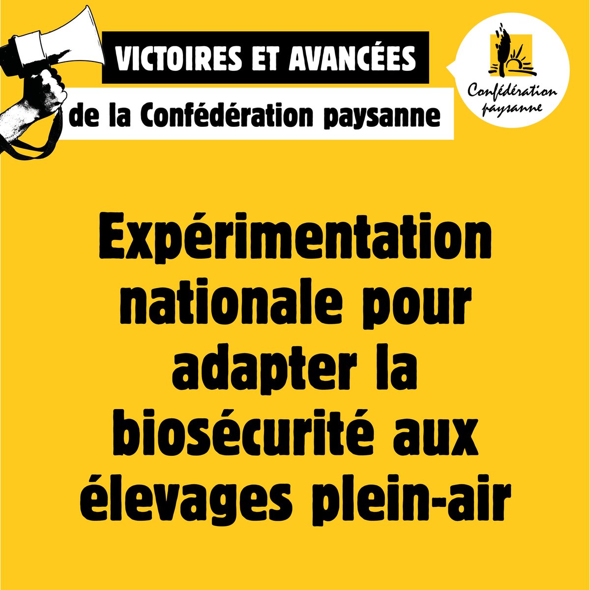 Conf_pays13's tweet photo. ✅ VICTOIRES ET AVANCÉES DE LA CONFÉDÉRATION PAYSANNE ✊ 
👀 VICTOIRE N°1 : Défense des éleveuses et éleveurs plein-air face aux règles absurdes de biosécurité. 
🗳 DU 15 AU 31 JANVIER 2025, VOTONS MASSIVEMENT CONFÉDÉRATION PAYSANNE ! ✊ https://t.co/PL64imBDTX