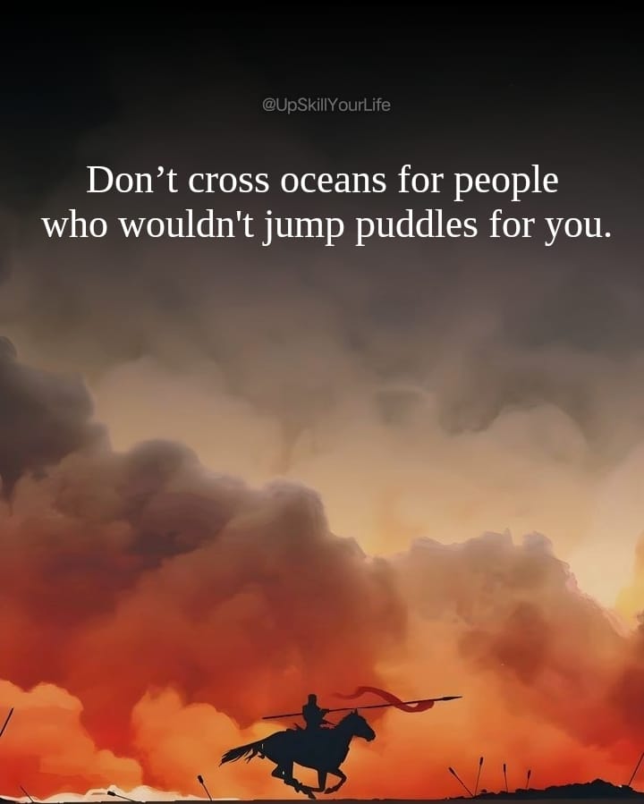 dackplace (@sydneysado49873) on Twitter photo 