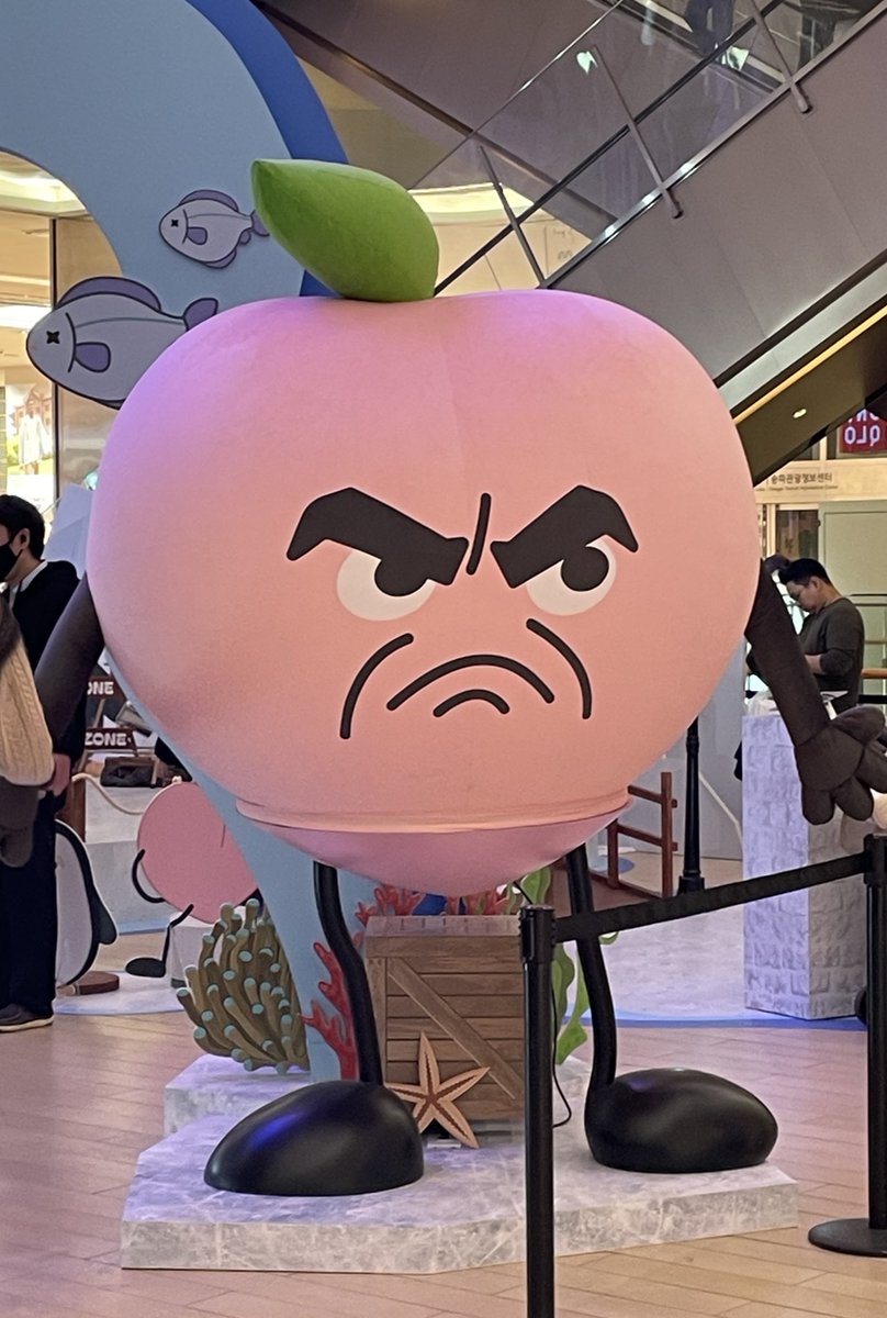 단 tweet media