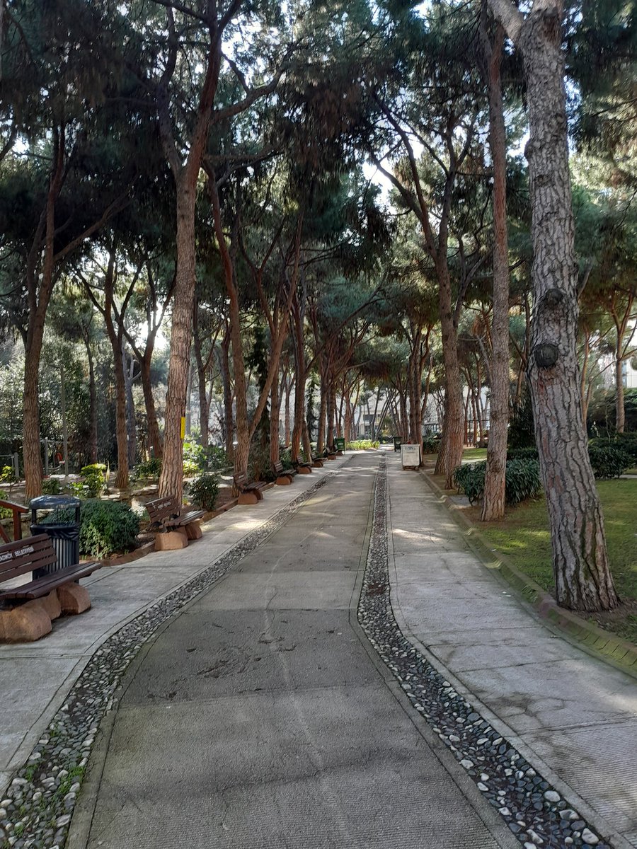 Bugün seni ilk gördüğüm yerdeyim, canım.İçimde tarif edilemez bir hüzün,pişmanlık ve özlem var. 
Keşke birazcık cesaretim olsaydı da 
Seni bulduğum yerden alabilseydim hem kendime hem sana hem aşka şans verseydim
Cesaretsizliğimin cezası buymuş; umarım bir yerlerde sen iyisindir