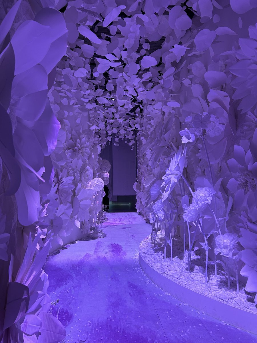 HelloCaro_'s tweet photo. une expo vraiment magnifique https://t.co/G3CKELcxDb