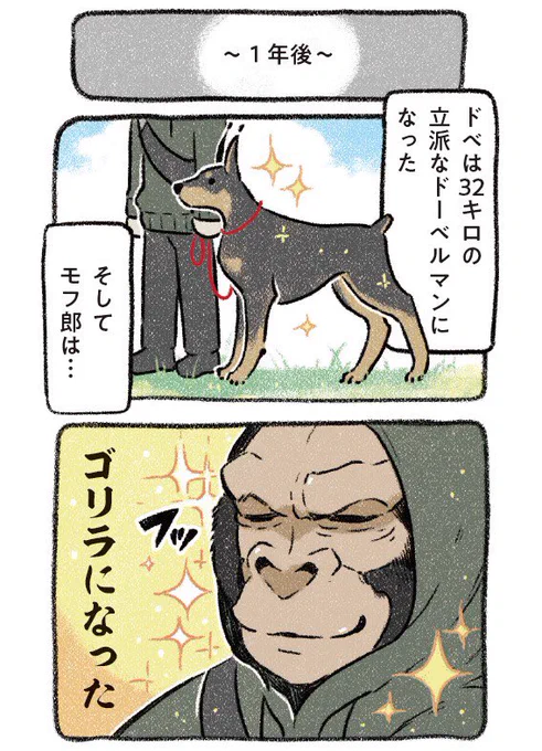 (試し読み1/6)
大型犬のドーベルマンを飼うと決め1年後…
飼い主は、ゴリラのように屈強になった!
【ドベとノラ】

#ドベとノラ #犬が好き #漫画が読めるハッシュタグ #PR 