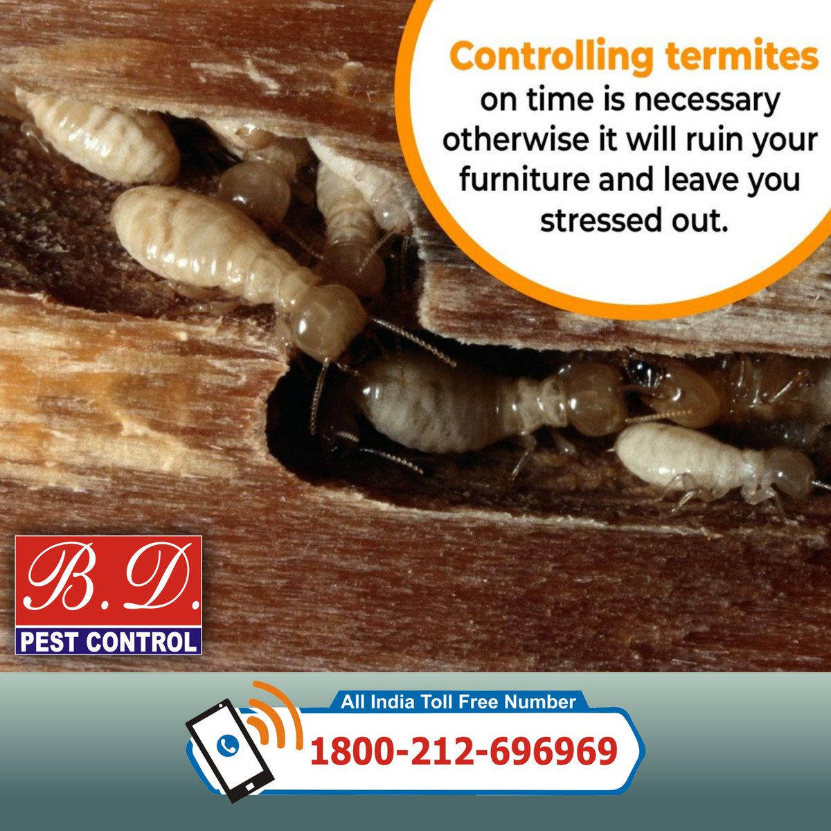 bdpcindia's tweet image. Hire Professional Pest Control Solutions to Prevent Infections &amp;amp; Diseases Caused by Harmful Insects
 Contact B. D. Pest Control, pestcontrol.bdpcindia.in
#Pest_Control #Home_Pest_Control #Pest_Control_Service #Commercial_Pest_Control #BD_Pest_Control #PestFreeHome