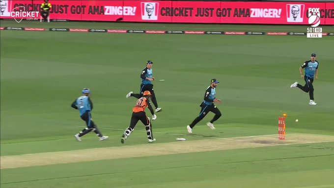Alex Carey has thrown the stumps down after a disastrous mix-up in the middle 📹 Credits: Twitter/BBL
