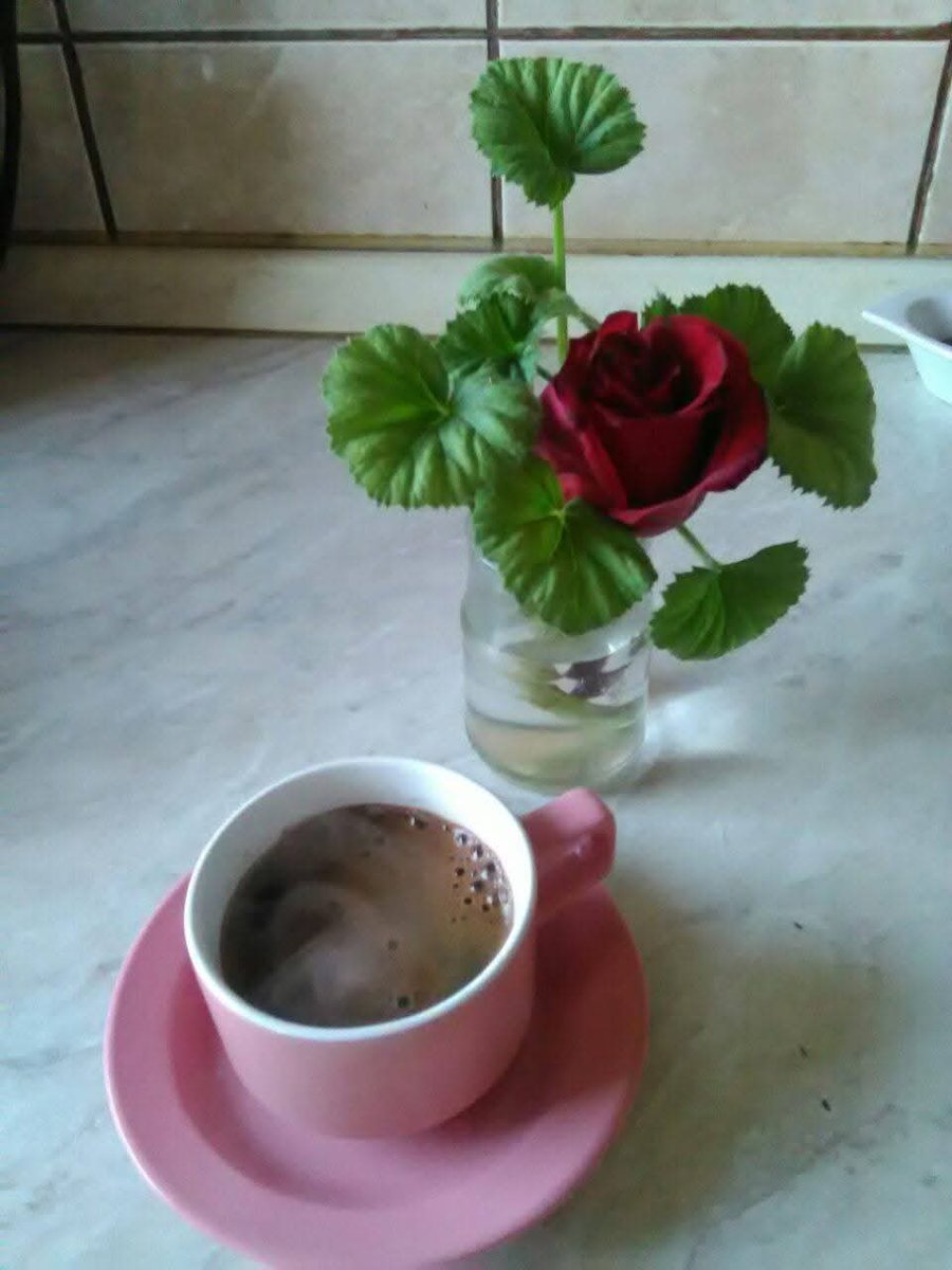 RefikGrgic2's tweet photo. @MMary68372282 Dobro jutro lijepa Meri🌹 https://t.co/b7G0whCfyg