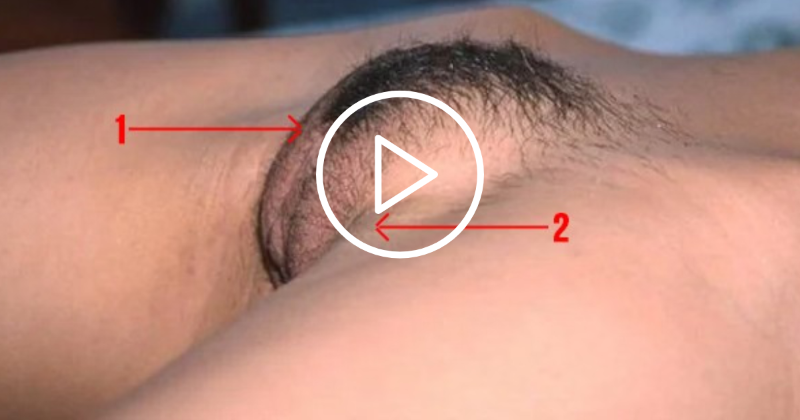PornPlayShop's tweet photo. Naked Public Sex https://t.co/vuY3TxLnW4