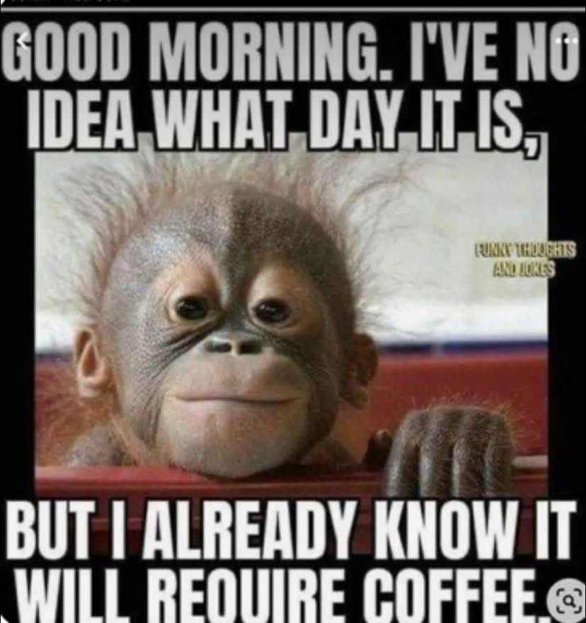 Good morning everyone. The weekend is upon us, a 3 day weekend to boot. Don’t waste it staying in bed. Get up, get your coffee fix, blast your favorite playlist, and let the madness begin! Enjoy the chaos.☕️🤘🏻