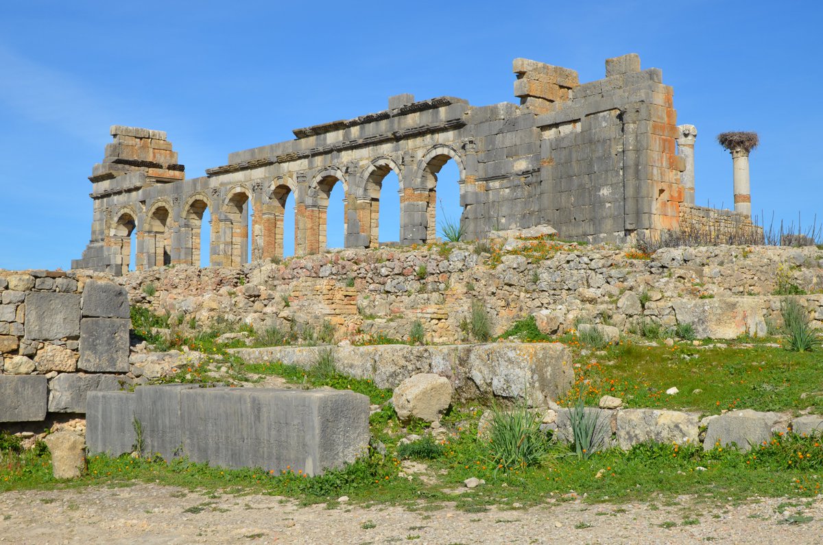 #RomanSiteSaturday - The Civil Basilica of Volubilis (Morocco), built under the Severan dynasty on the eastern side of the Forum. This imposing building was 42.2m long and 22.3m wide. It originally had two storeys with outer walls faced with Corinthian columns. The basilica's