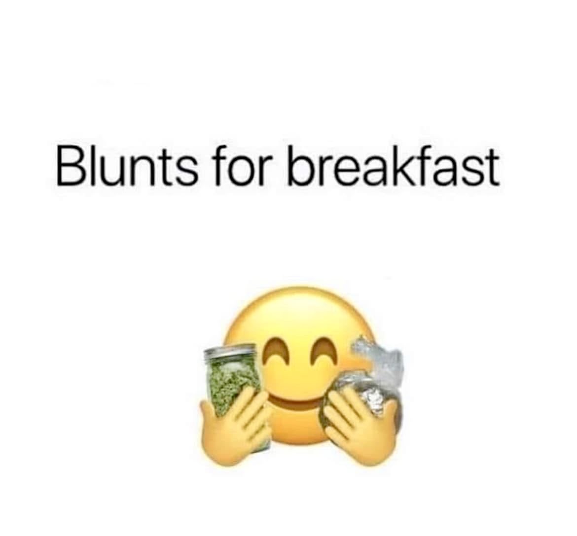 iFlyHigh™ 🎄 tweet media