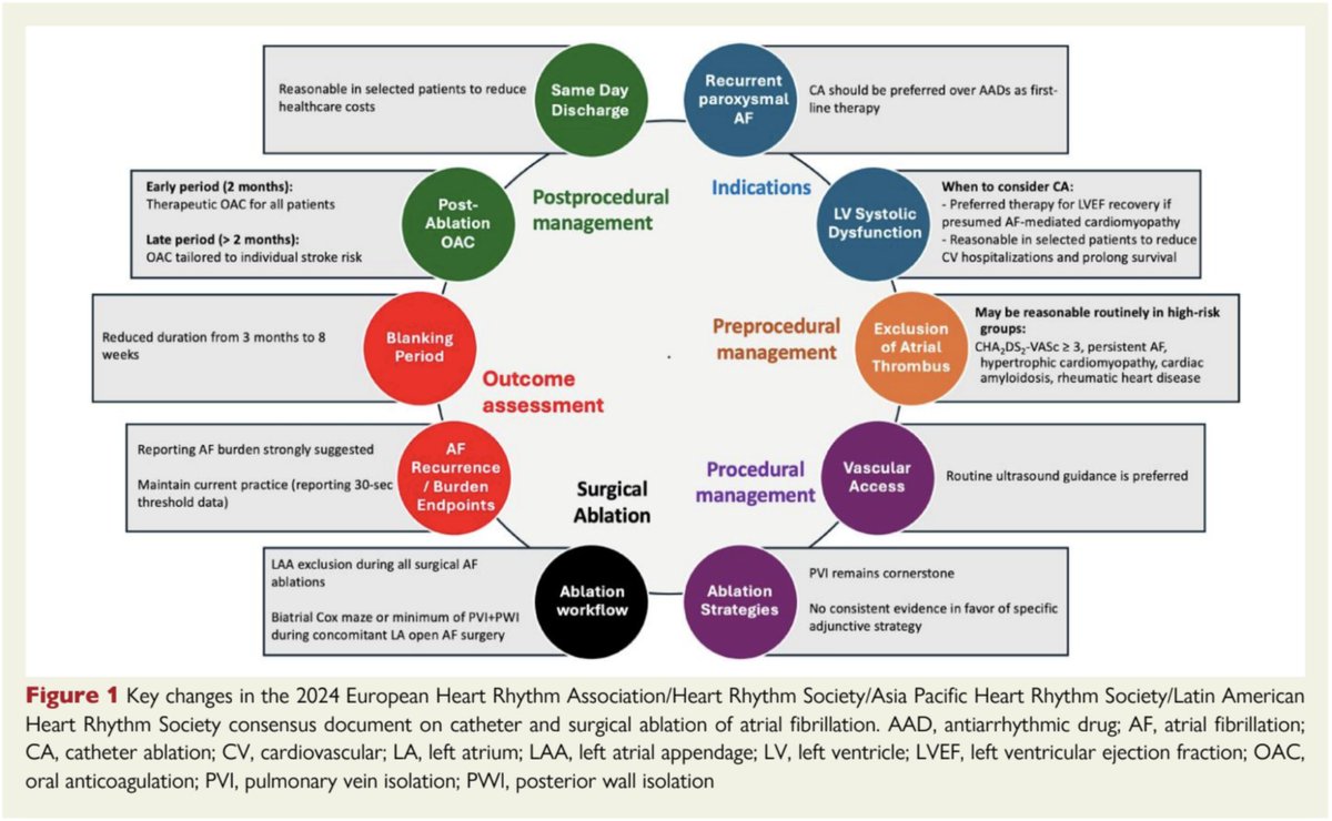 Alireza Sepehri Shamloo (@shamloosepehri) on Twitter photo 📢 Now available in the European Heart Journal:
The Decalogue outlines key updates from the 2024 EHRA/HRS/APHRS/LAHRS consensus on AF ablation. Essential insights for clinicians worldwide. <a href="/SteliosTzeis/">Stelios Tzeis</a> <a href="/EHRAPresident/">EHRAPresident</a> <a href="/ESC_Journals/">European Society of Cardiology Journals</a>
🔗 Read the article: bit.ly/3PGVYvO 📢 Now available in the European Heart Journal:
The Decalogue outlines key updates from the 2024 EHRA/HRS/APHRS/LAHRS consensus on AF ablation. Essential insights for clinicians worldwide. <a href="/SteliosTzeis/">Stelios Tzeis</a> <a href="/EHRAPresident/">EHRAPresident</a> <a href="/ESC_Journals/">European Society of Cardiology Journals</a>
🔗 Read the article: bit.ly/3PGVYvO