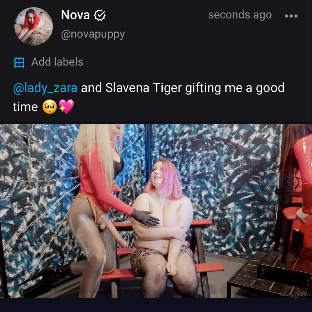 Content from novapuppy