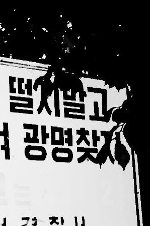 황준호 (@zcxxks) on Twitter photo 