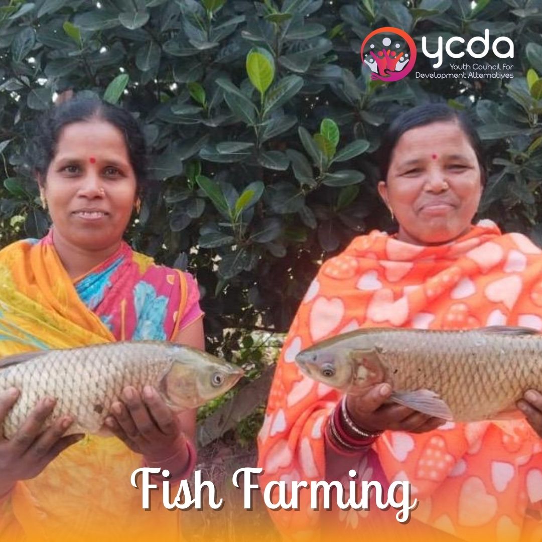 YCDAOdisha's tweet photo. 🐟 Bharat India Jodo by YCDA: Boosting Farmers' Incomes! 🚜
YCDA empowers fish farmers with training and resources, helping them achieve sustainable growth and higher earnings. 🌱💰
#BharatIndiaJodo #YCDA #FishFarming #FarmersEmpowered https://t.co/hZezVQJk5p