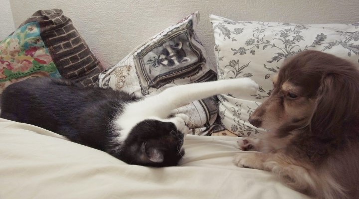 nerune (@nrn_____zzz) / Posts / X