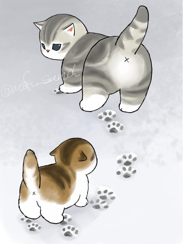 Post by ぢゅの🐈 on X: ⛄️🐾