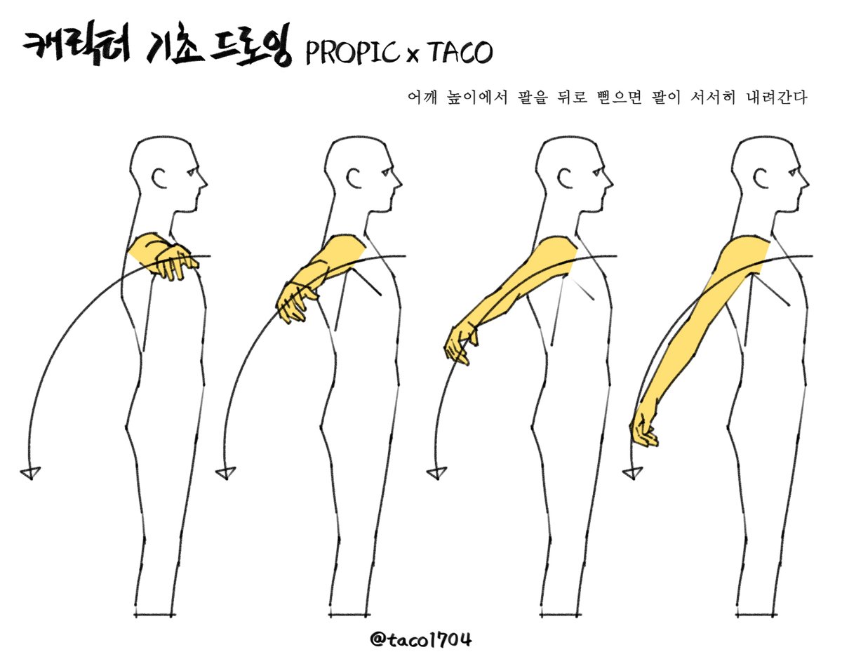 어깨 높이에서 팔을 뒤로 뻗으면 팔이 서서히 내려간다 肩の高さから腕を後ろに伸ばすと腕が徐々に下がる