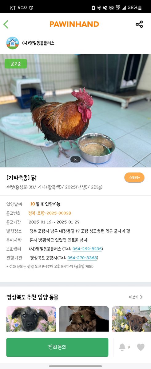 특이사항 : 혼자 방황하고 있었던 외로운 남자