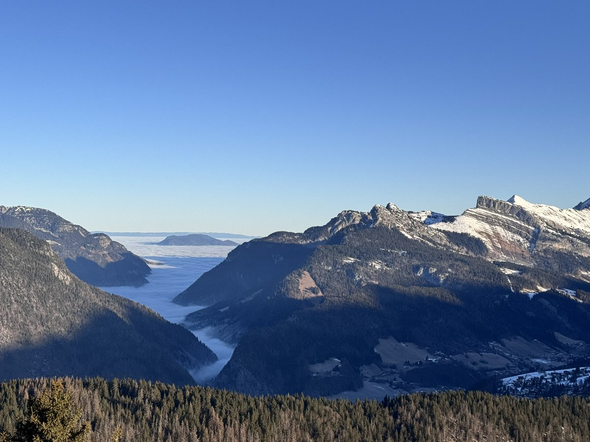 Thomas Gasser tweet media