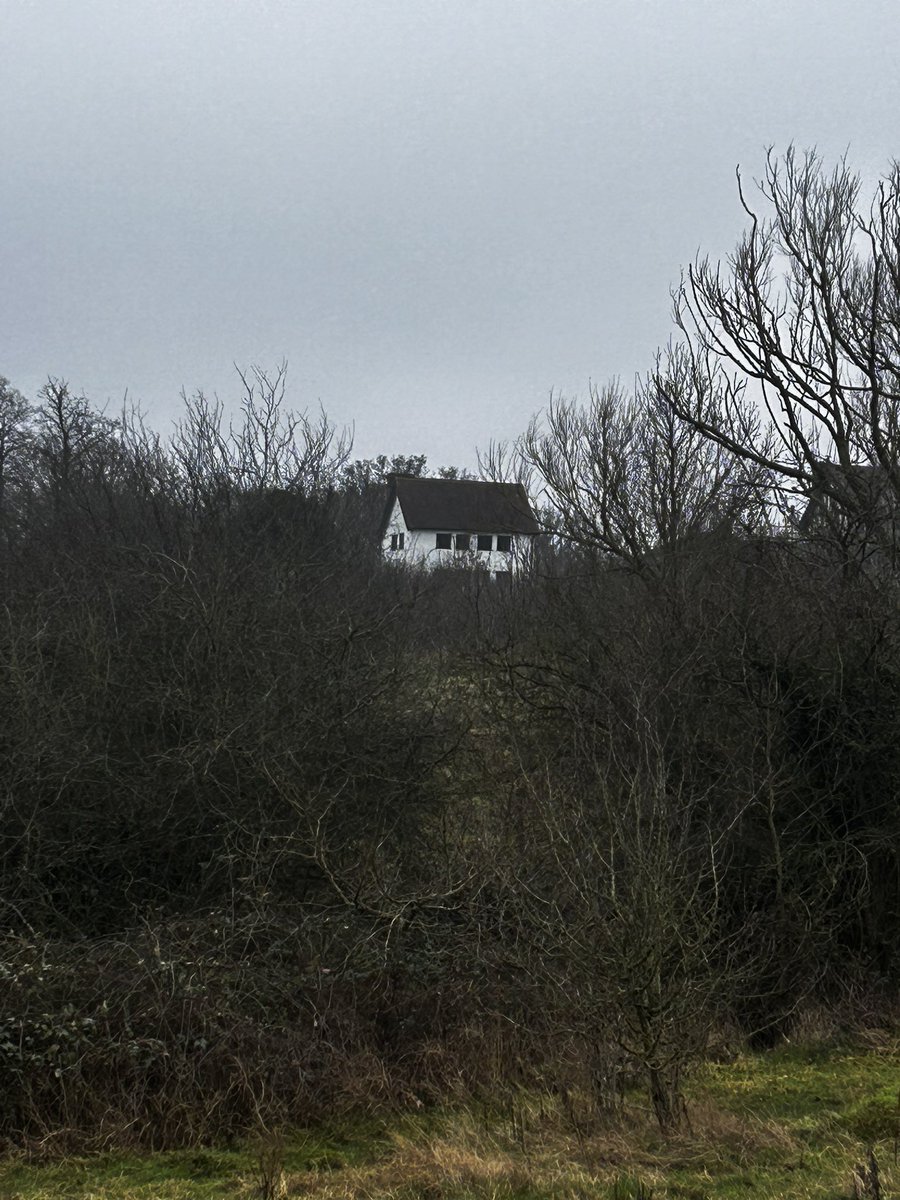 Epping Forest tweet media