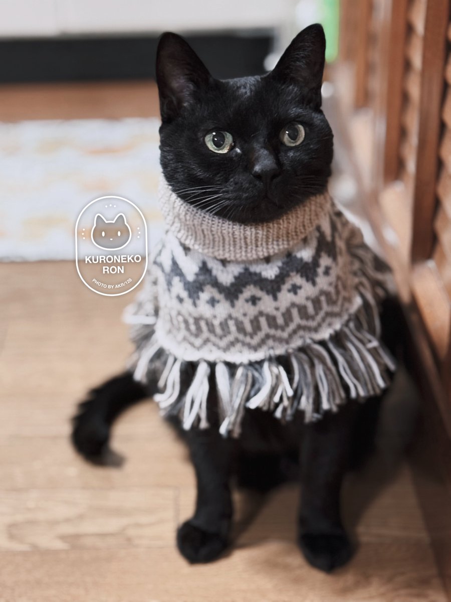 おみやげとろんさん 