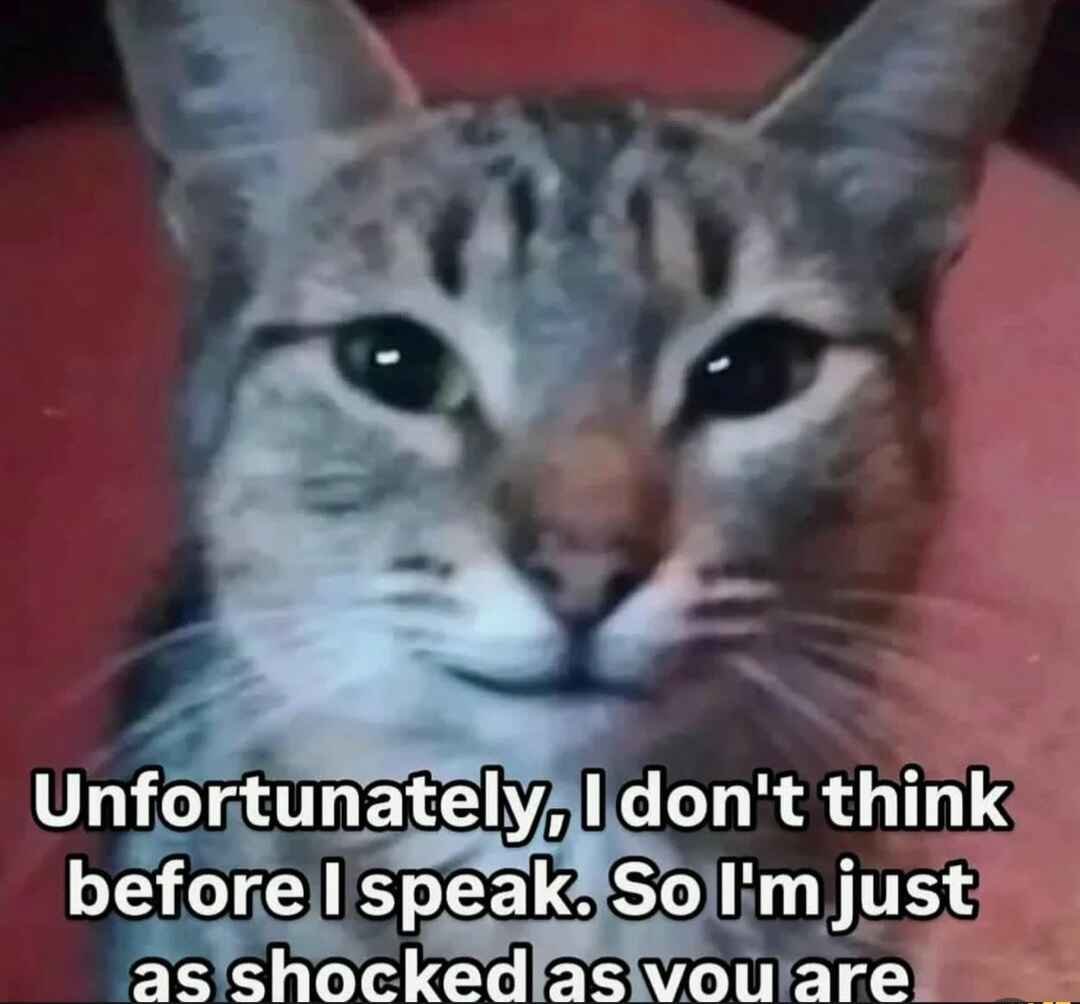 The Legend of Digimon World 3 goes on
twitch.tv/the__bourgeois…