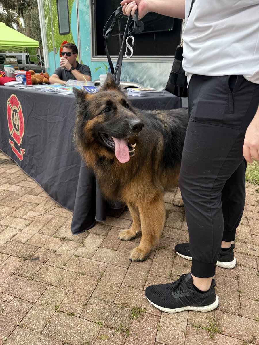 MartinCountyEMA's tweet photo. Today we’re at the #MuttMarch at Memorial Park in Stuart. Come out and see all the very good boys and girls and learn about pet preparedness. #MartinReady @HSTC1 https://t.co/85lz3IAZCO