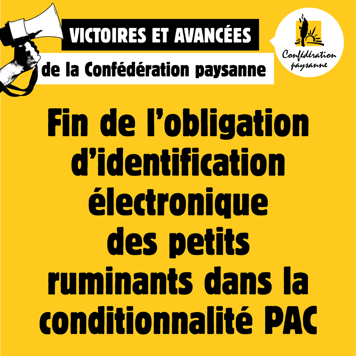 Conf_pays13's tweet photo. ✅ VICTOIRES ET AVANCÉES DE LA CONFÉDÉRATION PAYSANNE ✊ 
👀 VICTOIRE N°3 : Autre exemple concret de victoire de la Conf' sur le sujet des normes. Nous avons aussi obtenu la fin de l'obligation d'identification électronique des petits ruminants dans le cadre de la PAC. https://t.co/gJuI8enC6Y