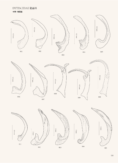 The book 《Water Beetles of Taiwan: Adephaga &amp; Hydrophiloidea》 is now open for pre-order!
Taiwan's first book on aquatic beetles, it features over 100 species, including newly recorded ones. #Taiwan  ministryofbeetles.com/book2/?v=255a5…