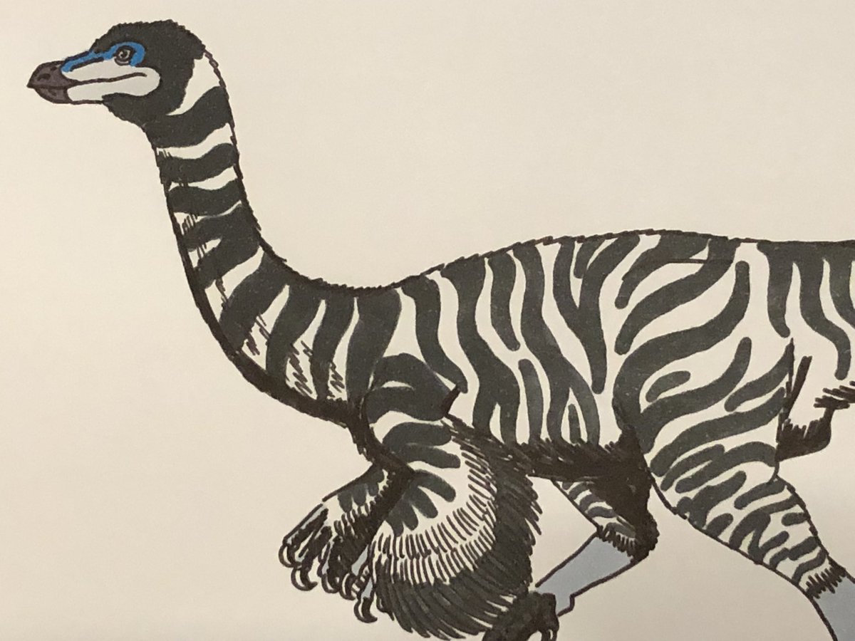 🦕 Isaiah Cole Torre 🦖 tweet media