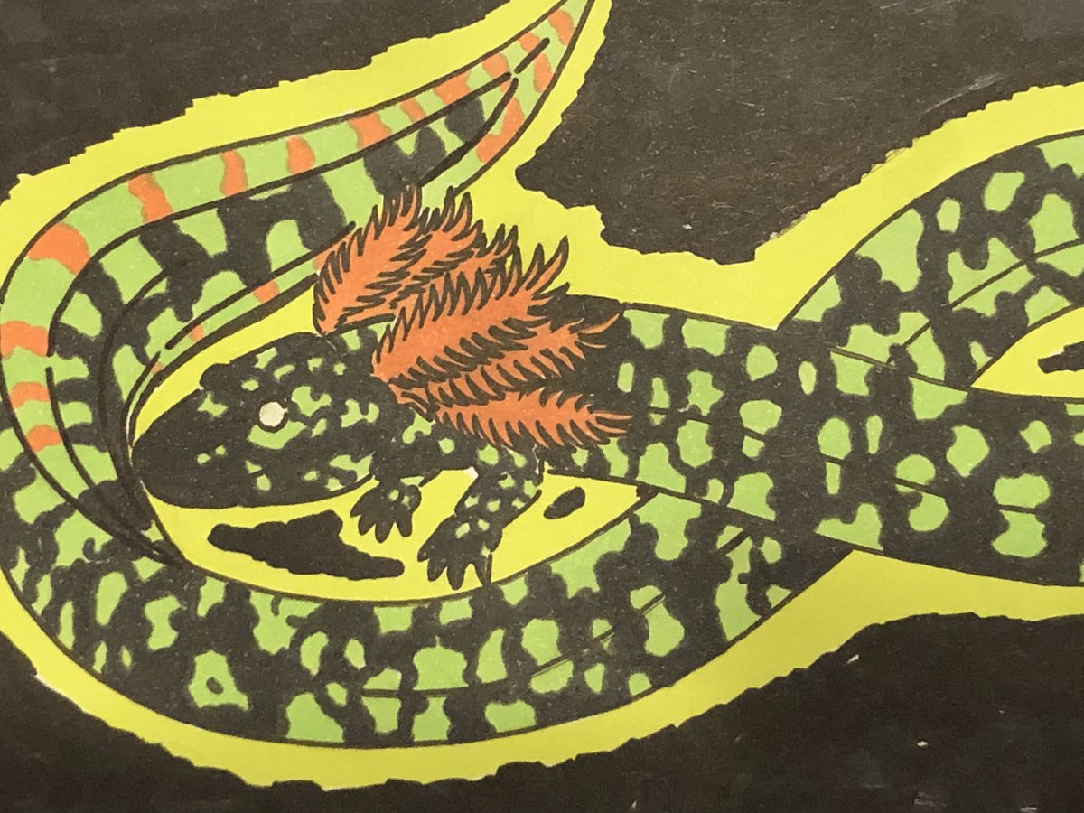 🦕 Isaiah Cole Torre 🦖 tweet media
