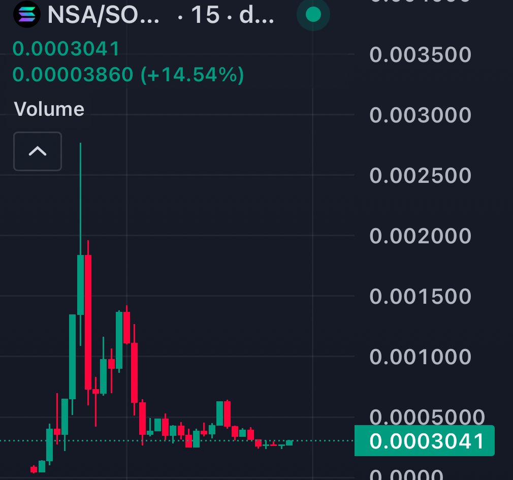 it was the bottom this time… right?

added more $NSA here.

“Never Sleeping Again” 2025 bull run slogan, calling it here 👀