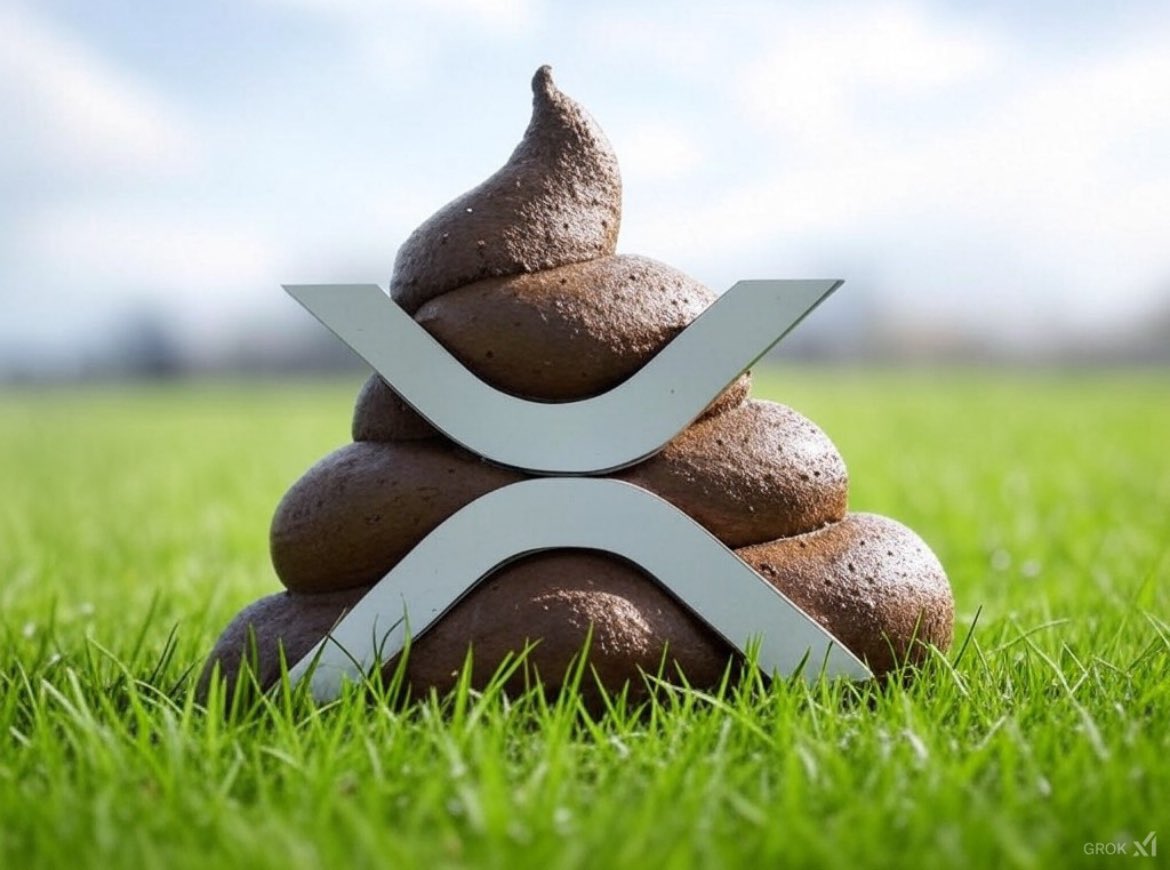 Don’t be that person 
“ $XRP is a shit coin”