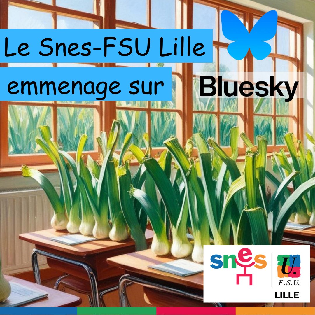 SNES FSU académie de Lille tweet media