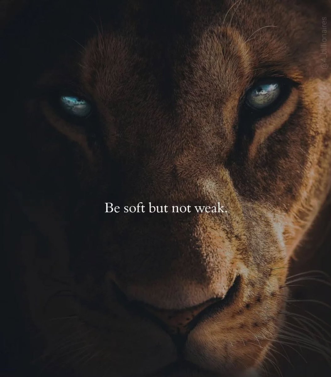 Dear son,