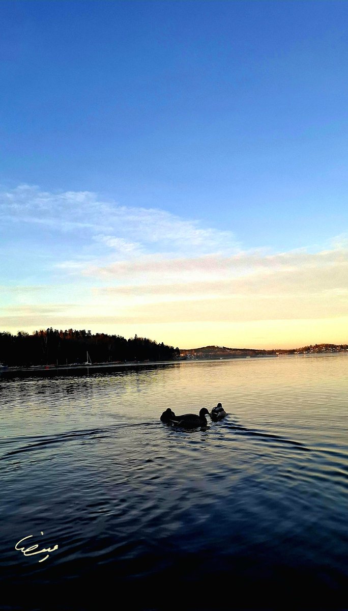 تأمل كيف ينسجم كل شيء بلا صخب، وكأن الكون يهمس: سر الحياة في #التوازن.

#من #تصويري 
#الطبيعة