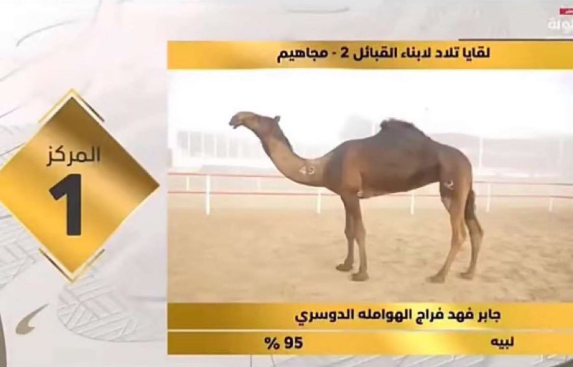 مشاركتين في الظفره عليها وسم براك ومشاركه مع اهلها وغيرها المنسي نوامسيهم ماجات الا ب الاجارات