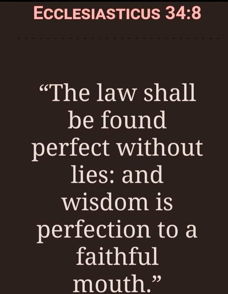 MyrkoSaint's tweet image. 📖