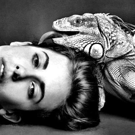 RoXie 🐱💄 tweet media