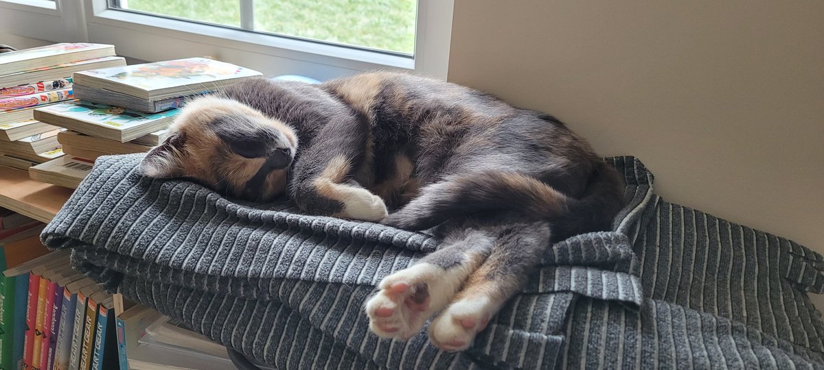 Je crois que peu de créatures sont aussi contente de s'être cassé le fémur... 😅