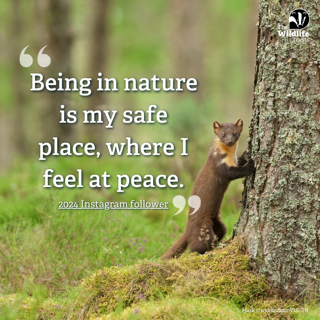 #socialprescribing helps connect people to their local spaces which  means people can feel

☀ Less stressed
☁ Less fatigued
🌲 Less anxious

Send your GP a postcard to celebrate the value of about green prescribing.

👇  
wildlifetrusts.org/nature-helps