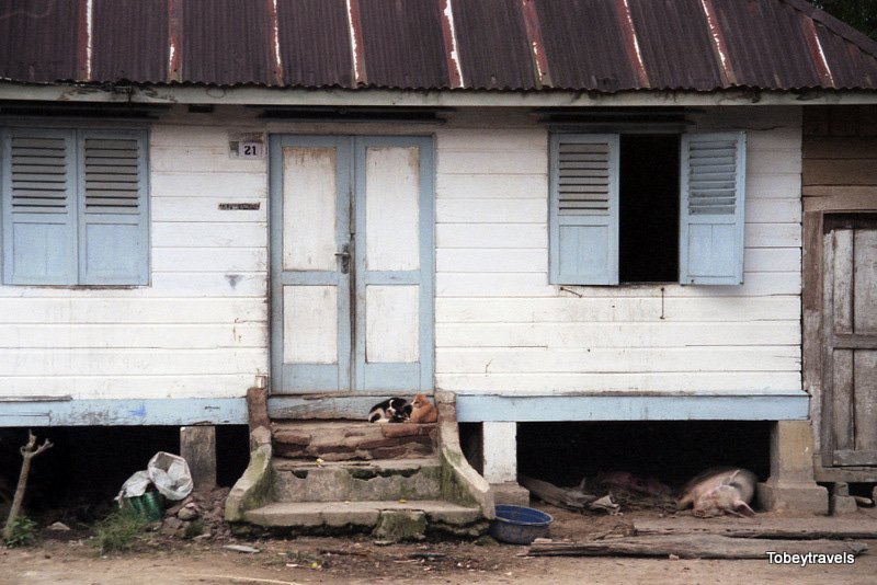 potolawas's tweet photo. Karonese Village, Toba Lake, North Sumatra, circa Sept 1998.
โข
๐ธ: Tobeytravels
โข
#potolawassumatra #tobalake https://t.co/W9EfIbN7yO